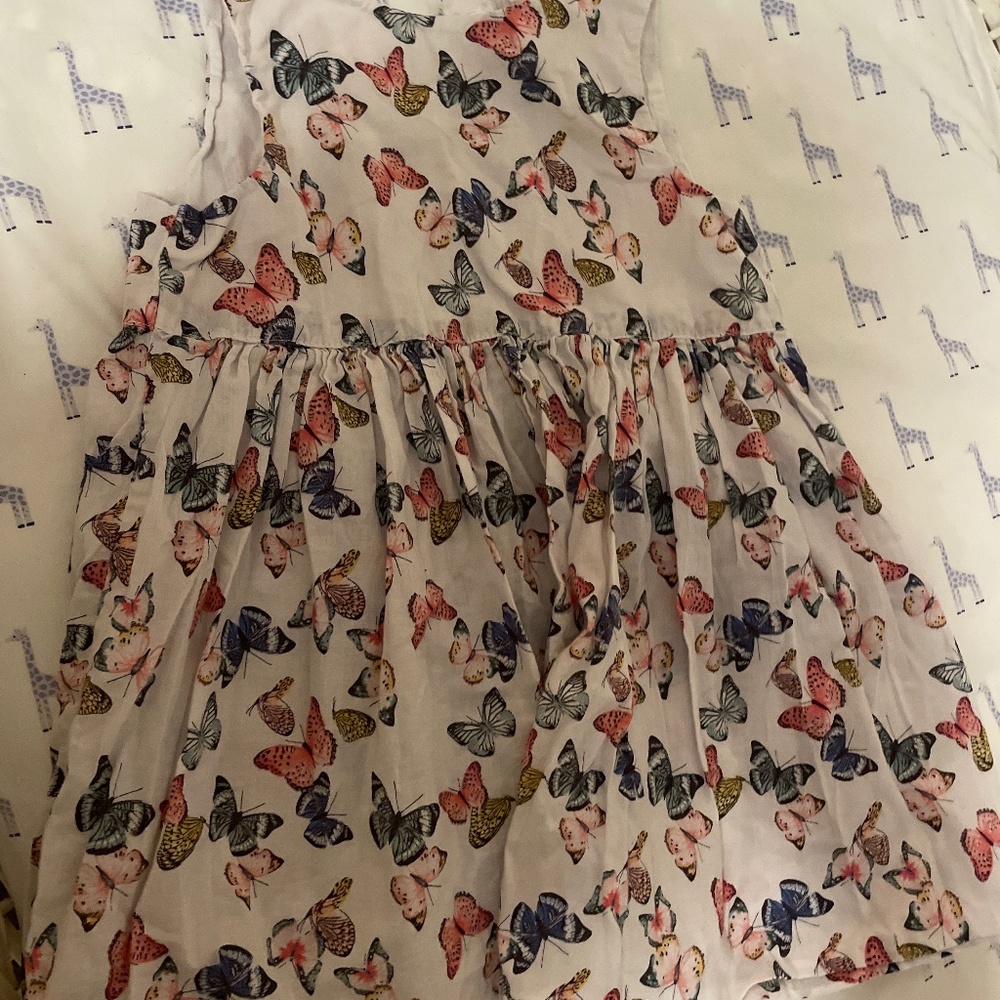 Butterfly dress